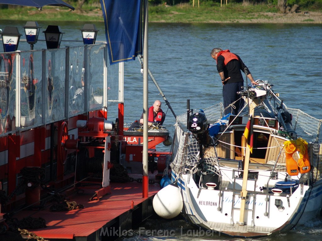 Motor Segelboot mit Motorschaden trieb gegen Alte Liebe bei Koeln Rodenkirchen P100.JPG